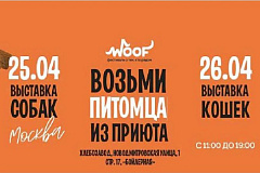 Фестиваль WOOF в поддержку животных из приютов пройдёт в Москве в 14-й раз